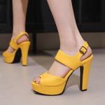 Elegant Handcrafted Leather Women's Shoes of Exquisite Quality(E135586316338-29)