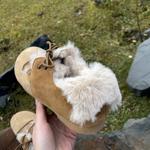 Handcrafted Luxury Leather Women's Shoes: Exquisite Craftsmanship & Timeless Elegance(Ebuer888b-3059)