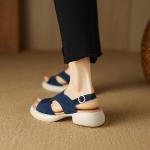 Luxurious Handcrafted Leather Shoes for Elegant Women(Eoct20161002M002-21)